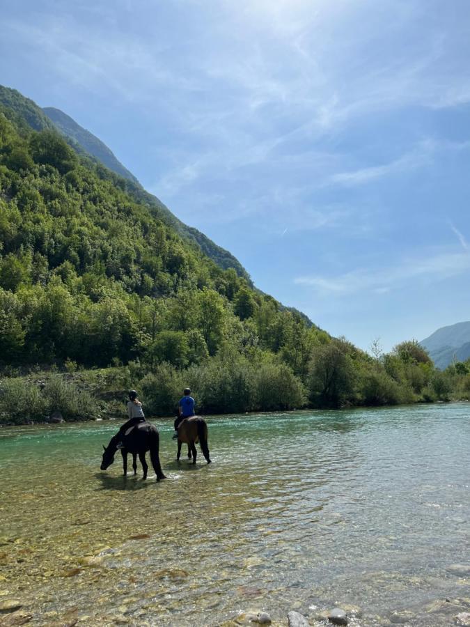 Apartment Baban In Zaga, Slovenia Exteriör bild